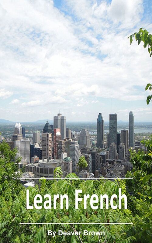 Learn French Best Selling French Title