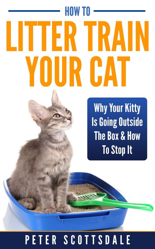 How To Litter Train Your Cat