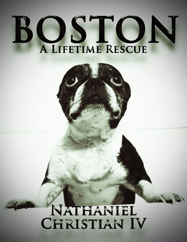 Boston: A Lifetime Rescue