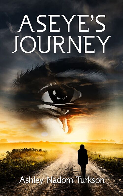 Aseye's Journey