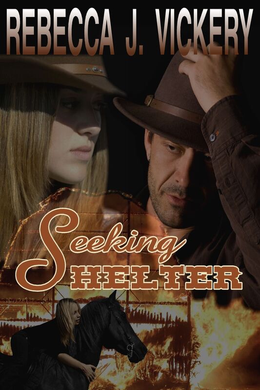 Seeking Shelter