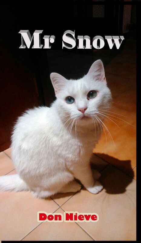 Mr Snow