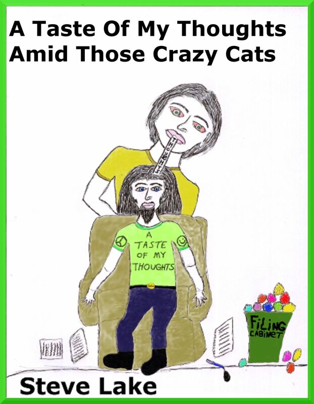 A Taste Of My Thoughts Amid Those Crazy Cats