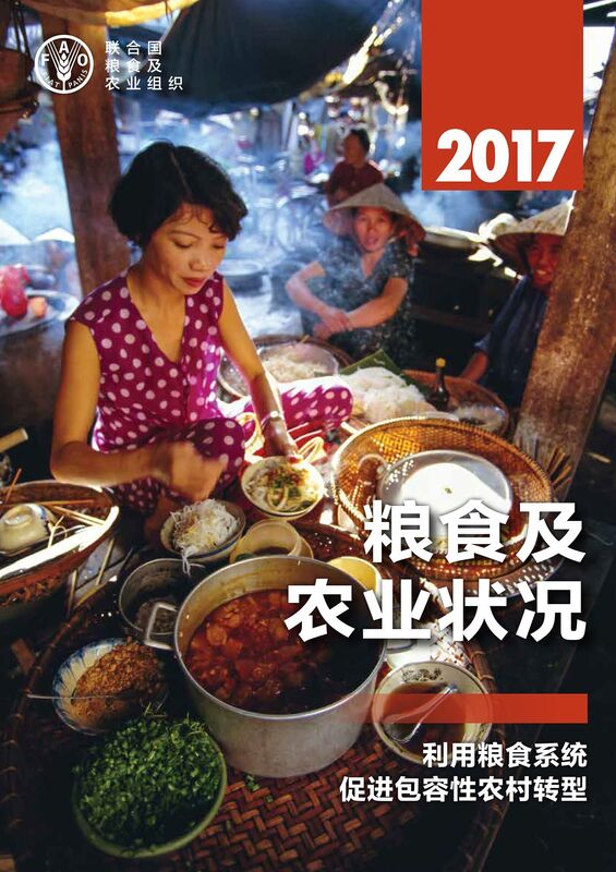 liangshi ji nong ye zhuang kuang 2017 li yongliangshi xitong cu jin bao rong xing nong cun zhuan xing