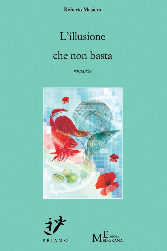 L'illusione che non basta