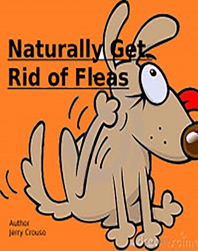 Naturally Get Rid of Fleas