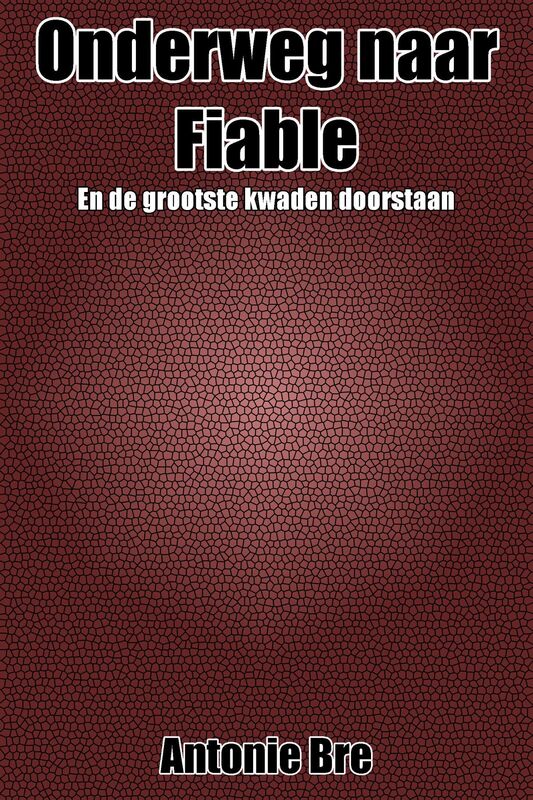 Onderweg naar Fiable