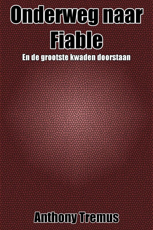 Onderweg naar Fiable