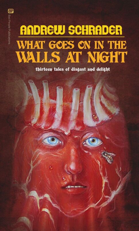 What Goes On In The Walls At Night