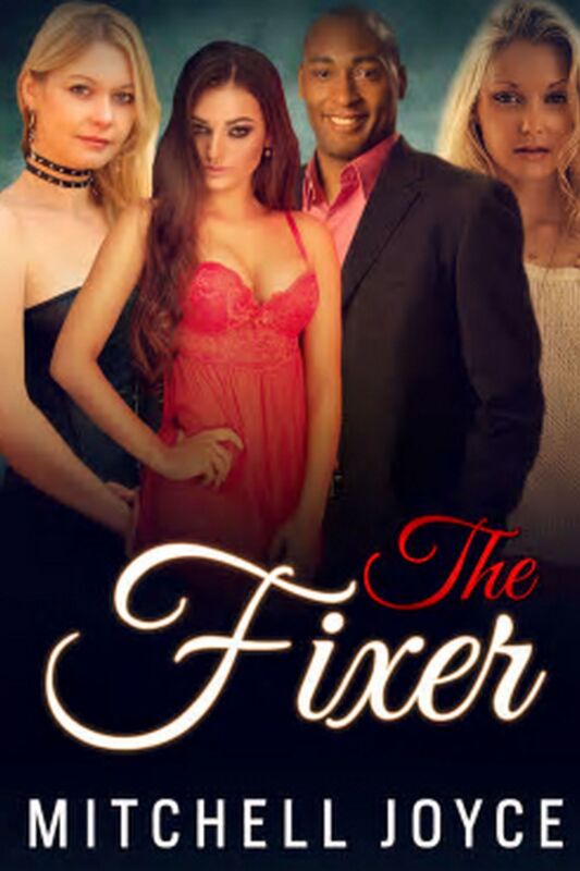 The Fixer