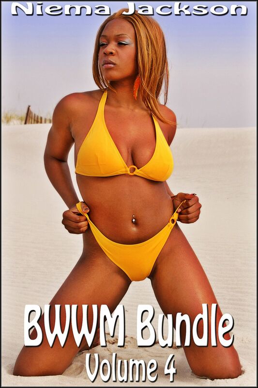 BWWM Bundle - Volume 4 (Interracial Romance BWWM)