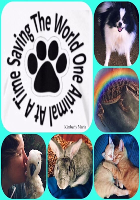 Saving The World One Animal At A Time