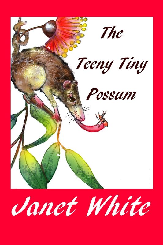 The Teeny Tiny Possum