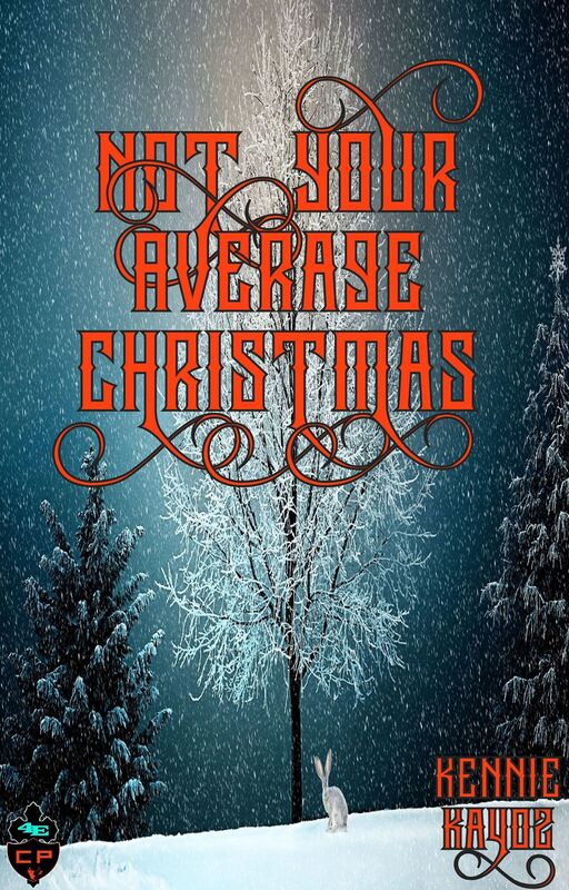 Not Your Average Christmas