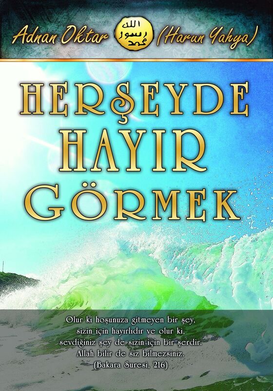 Herseyde Hayir Gormek