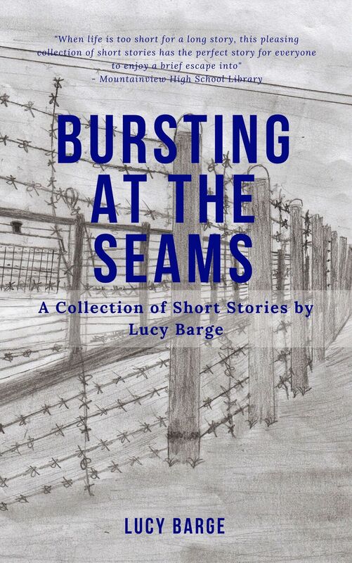Bursting at the Seams: a Collection of Short Stories by Lucy Barge