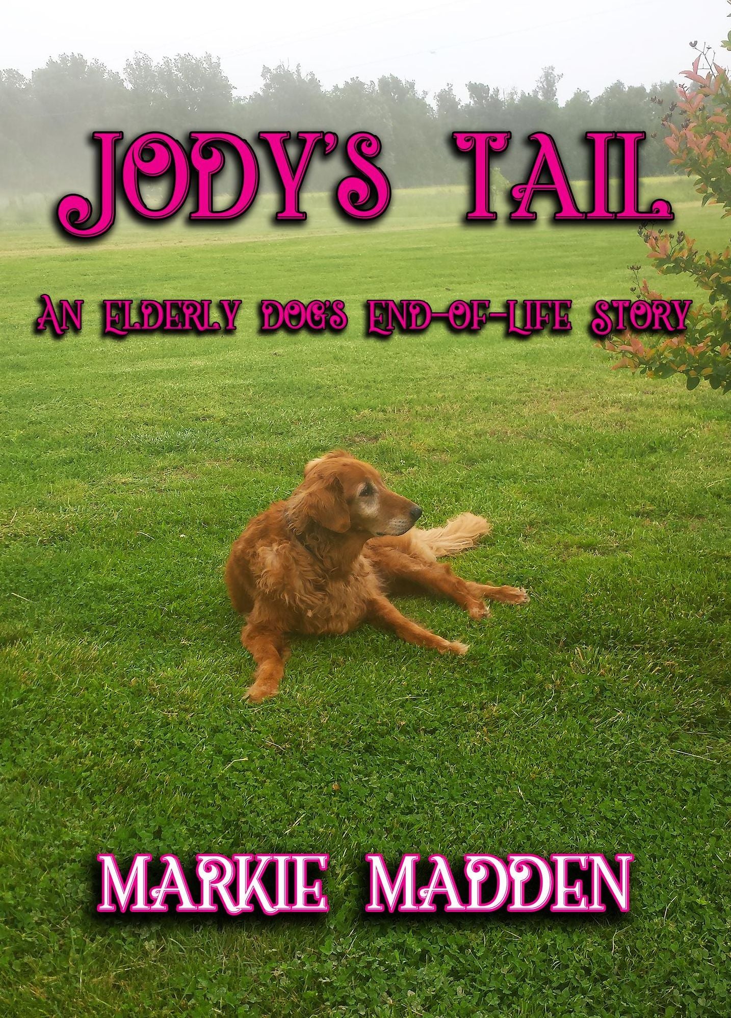 Jody's Tail: An Elderly Dog's End-of-Life Story