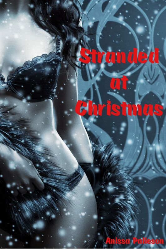Stranded at Christmas