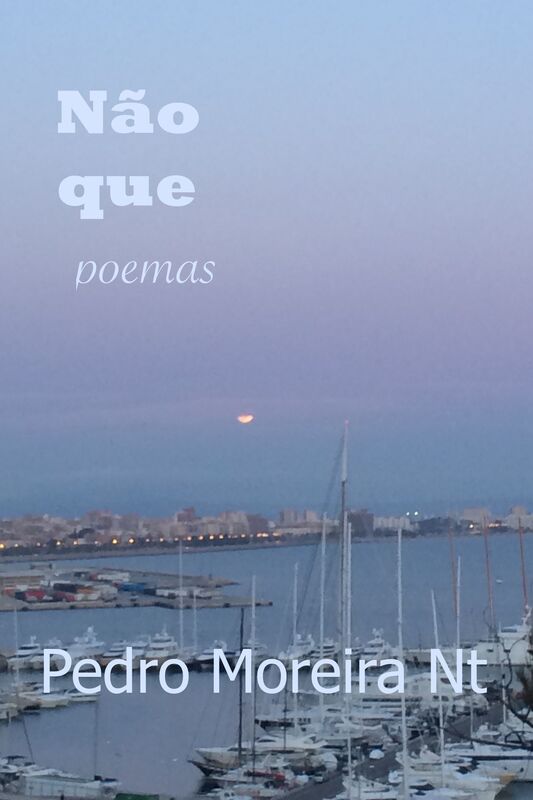 Não que: poemas