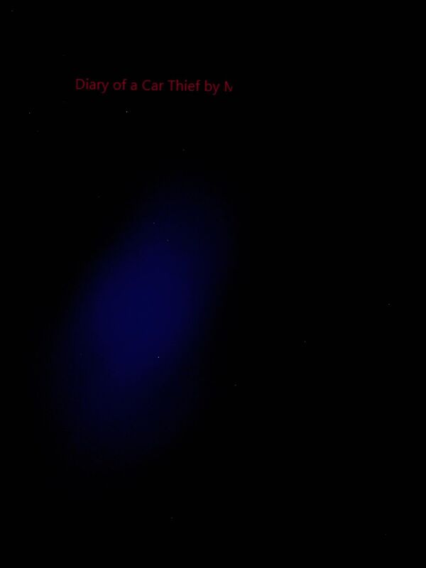 Diary of a Car Thief