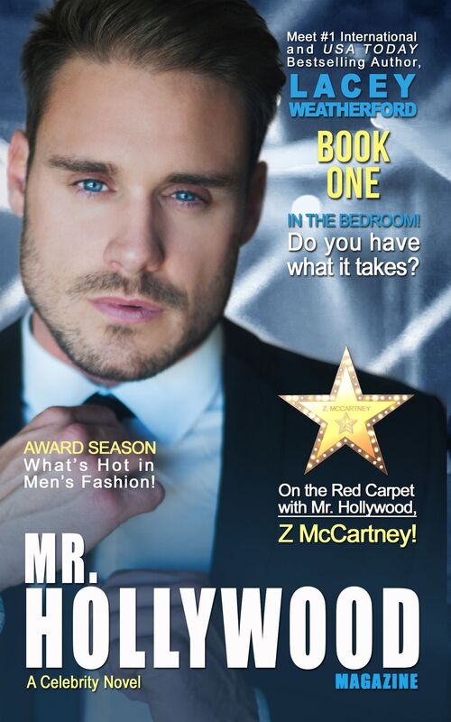 Mr. Hollywood, Book 1