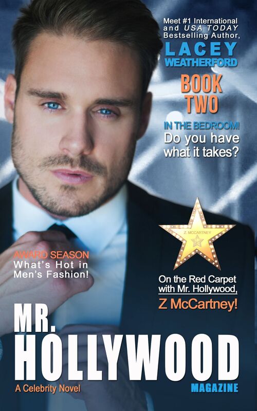 Mr. Hollywood, Book 2