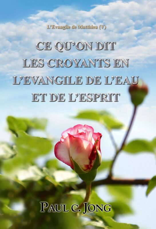 L'Evangile De Matthieu (V) - Ce Qu'on Dit Les Croyants En L'evangile De L'eau Et De L'esprit