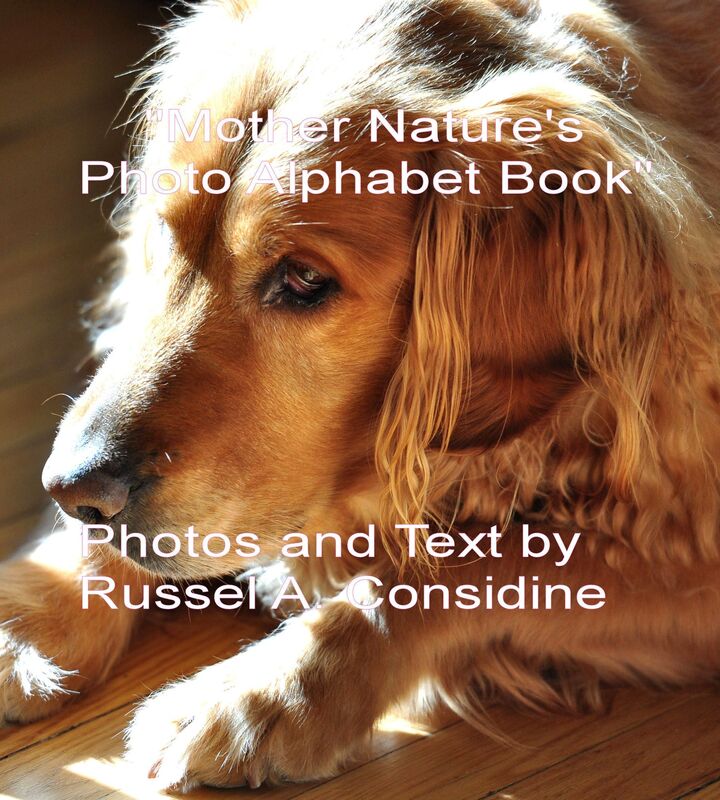 "Mother Nature's Photo Alphabet Book Part 1"