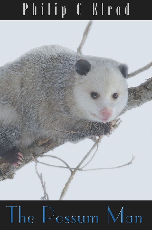 The Possum Man