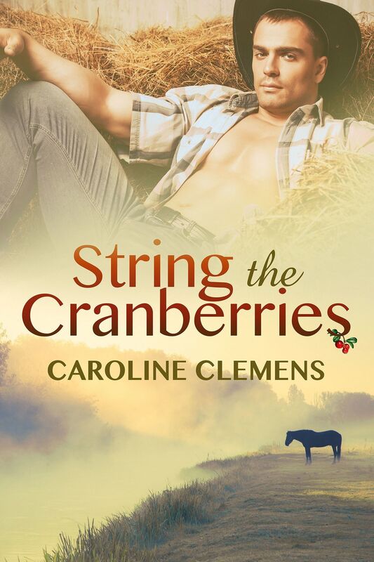 String the Cranberries