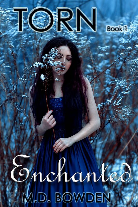 Enchanted (Torn, Book 1)