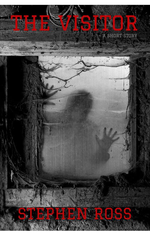 The Visitor