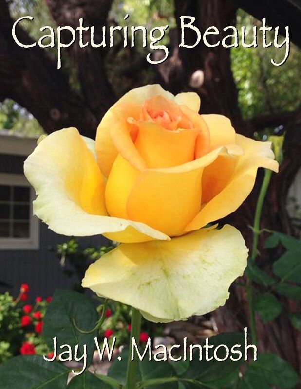 Capturing Beauty