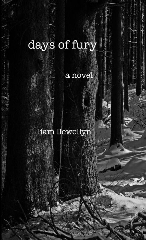 Days of Fury