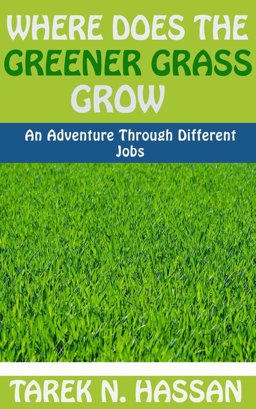Where Does the Greener Grass Grow: An Adventure Through Different Jobs