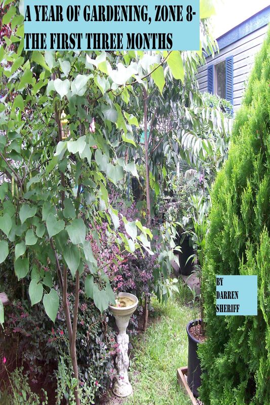 A Year Of Gardening, Zone 8- The First Three Months