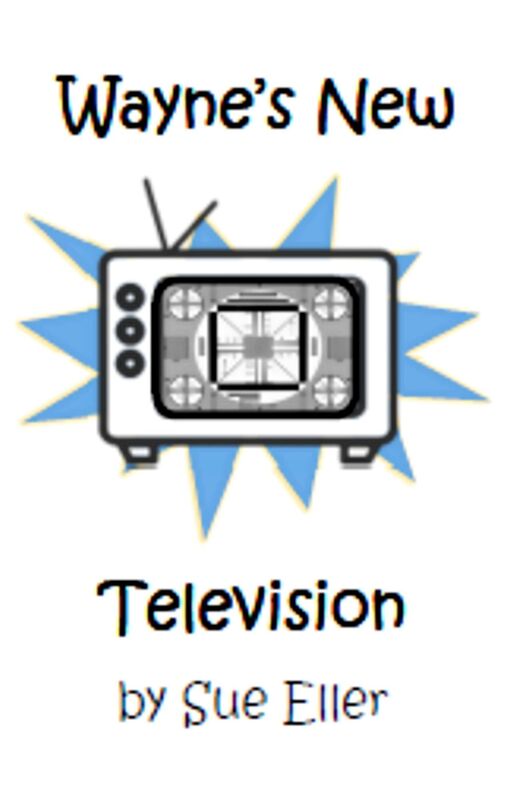Wayne's New Television