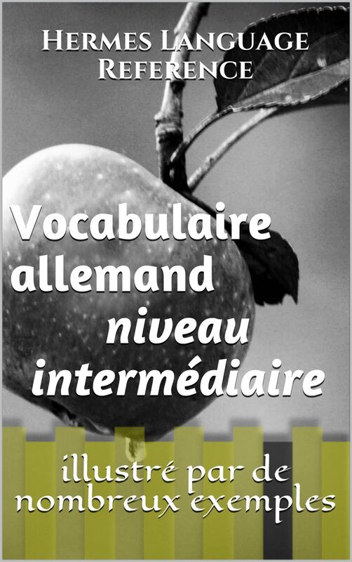 Vocabulaire Allemand: Niveau Intermédiaire