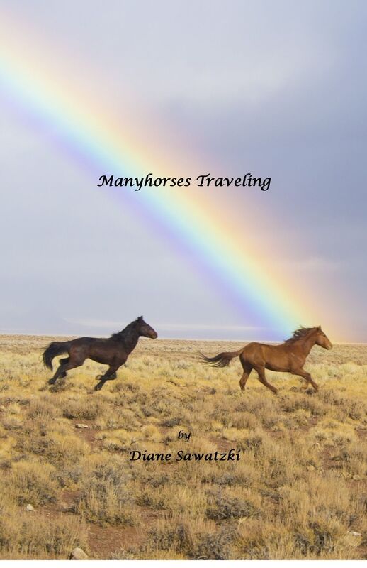 Manyhorses Traveling