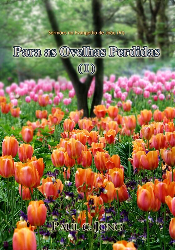 Sermões no Evangelho de João (VI) - Para as Ovelhas Perdidas ( I )