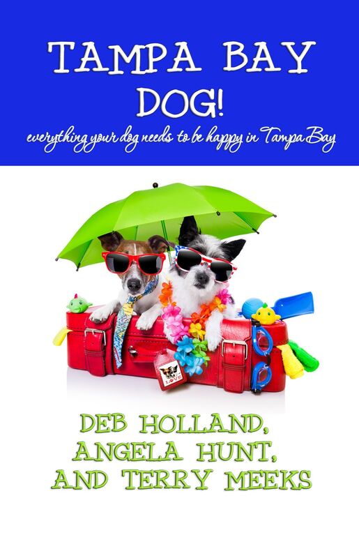 Tampa Bay Dog