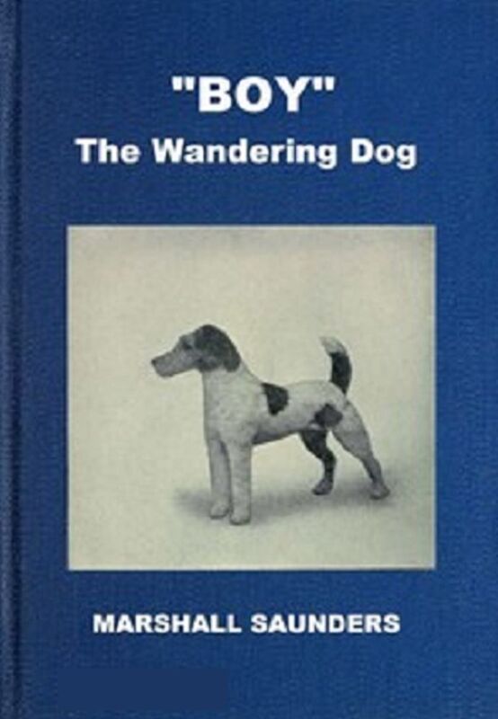 "Boy" the Wandering Dog: Adventures of a Fox-Terrier (Illustrated)
