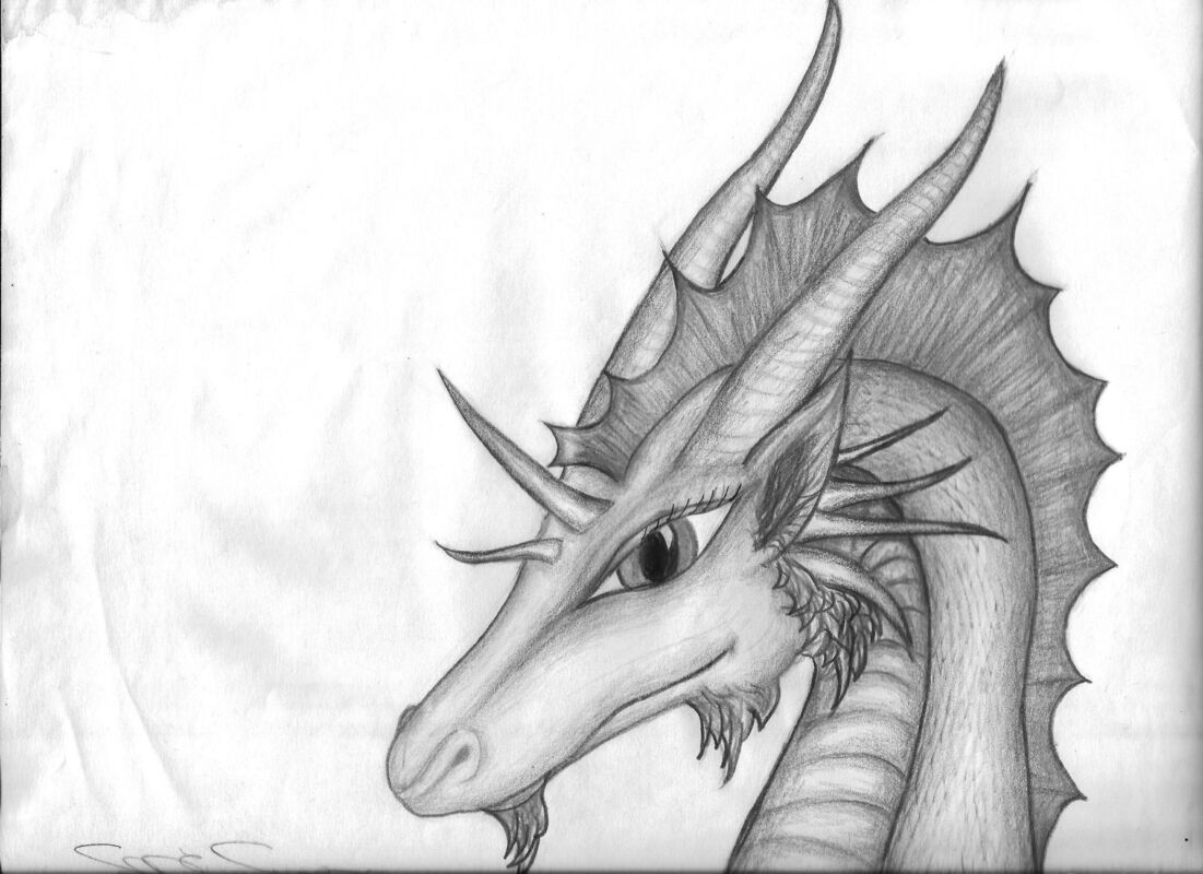 Dragons Of Avery Islebookone