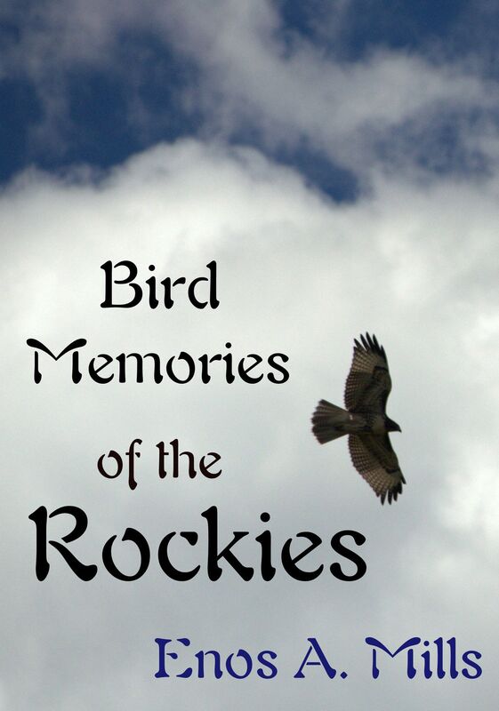 Bird Memories of the Rockies