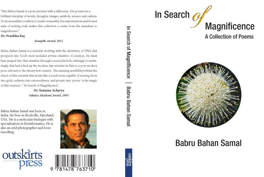 In Search of Magnificence: A Collection of Poems
