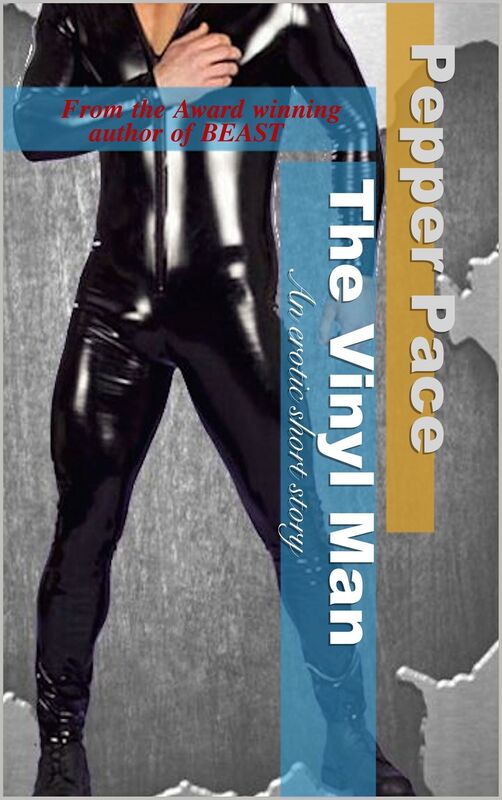 The Vinyl Man; An Erotic Short Story