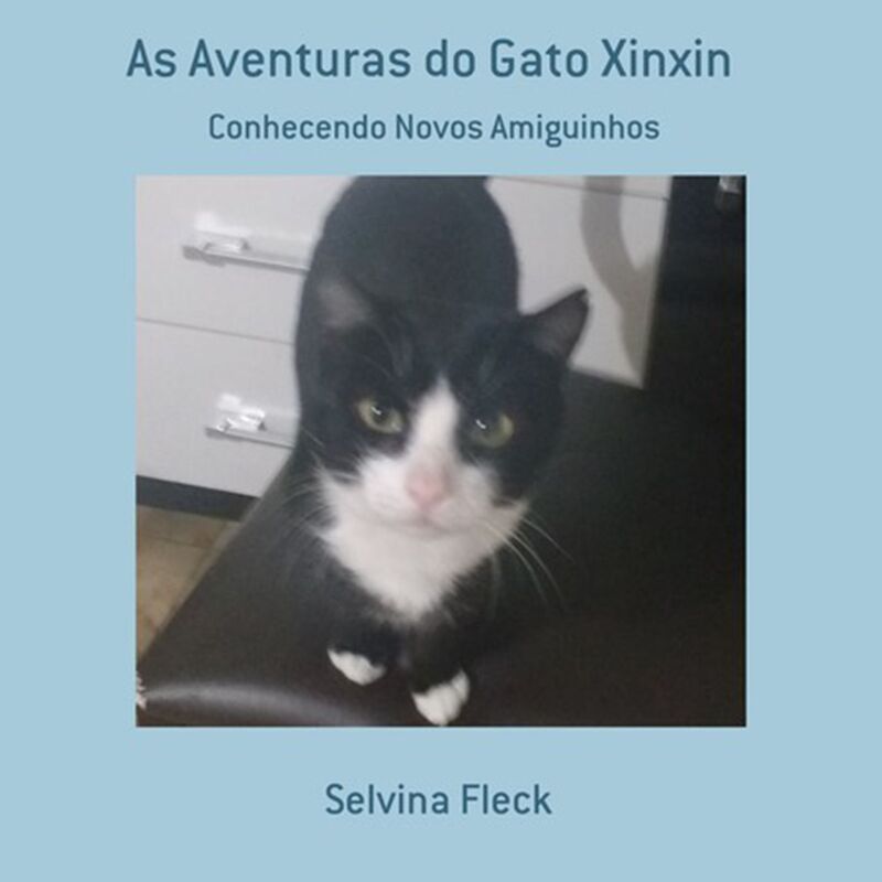 As Aventuras Do Gato Xinxin
