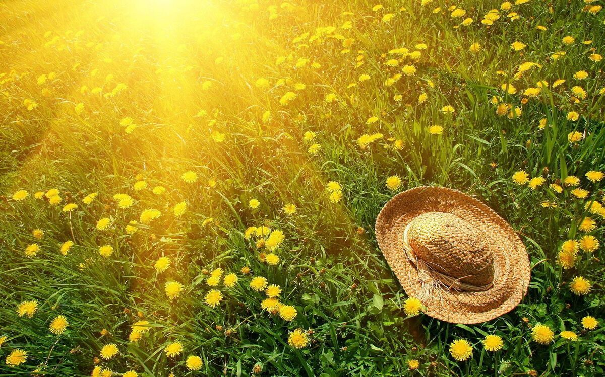 Sad summer