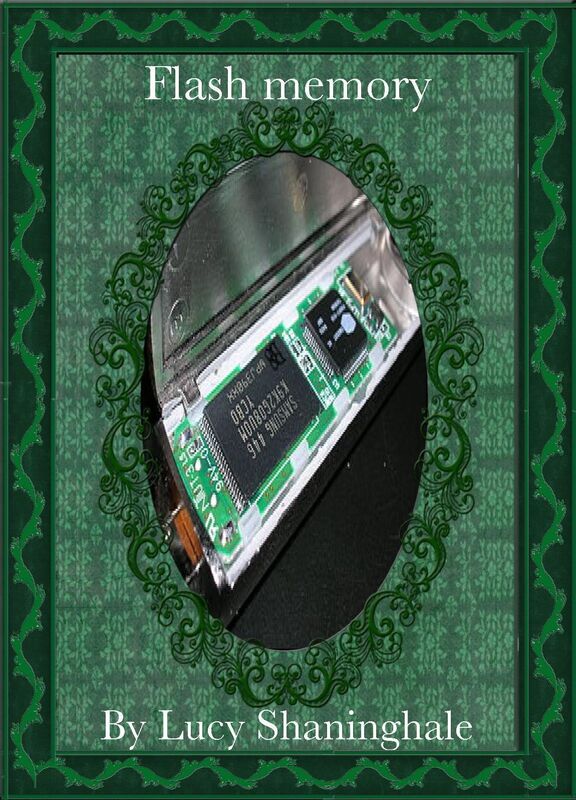 Flash memory