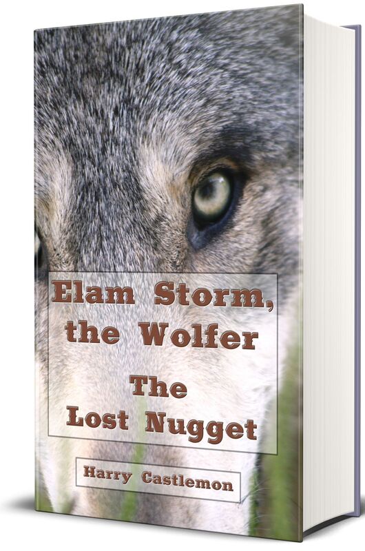 Elam Storm, The Wolfer (Illustrated Edition)